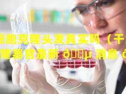 干细胞克隆头发真实吗（干细胞克隆器官最新 🐵 消息 🐴 ）